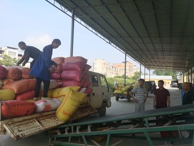 縣發改局強化夏糧收購監管與服務，筑牢糧食市場秩序與安全保障