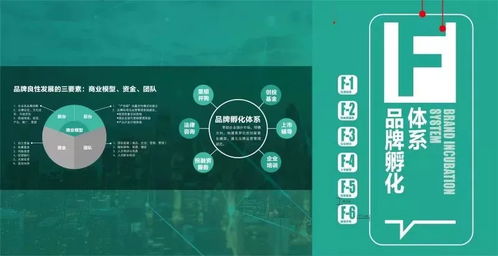 光合項目 從洋河創(chuàng)意設(shè)計中心看文化創(chuàng)意產(chǎn)業(yè)園的品牌化之路